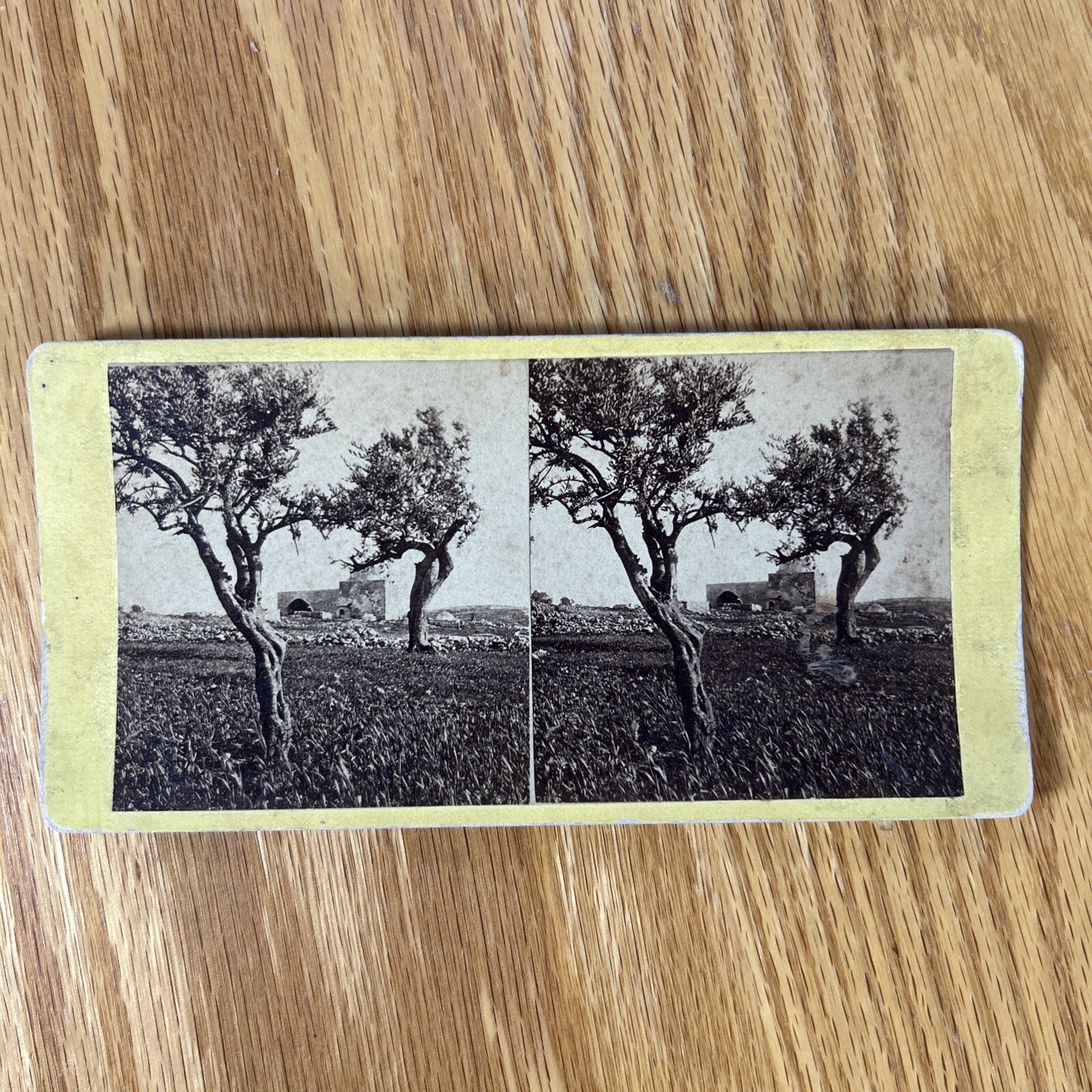 Antique Stereoscope Cards Bible Bethlehem Tomb Rachel Olive Trees Stereograph