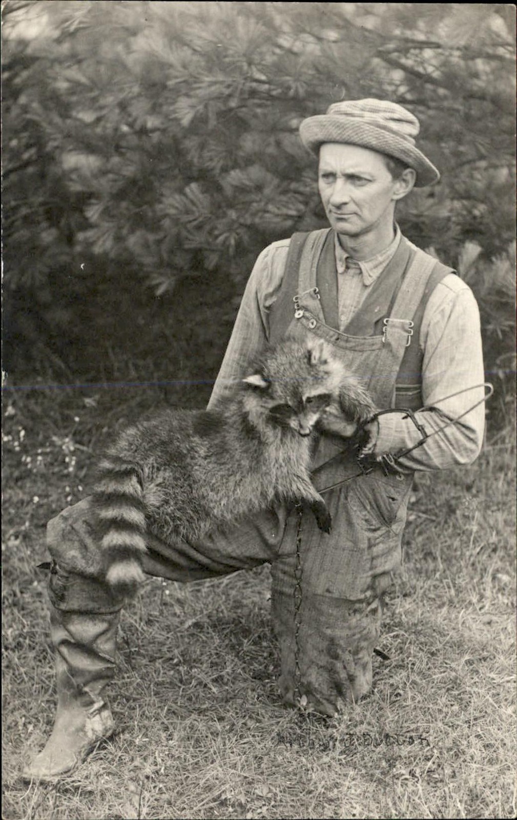 Weeks Mills ME Postmark Man Holds Raccoon & Trap FINE PHOTOGRAPHY c1910 RPPC bhn
