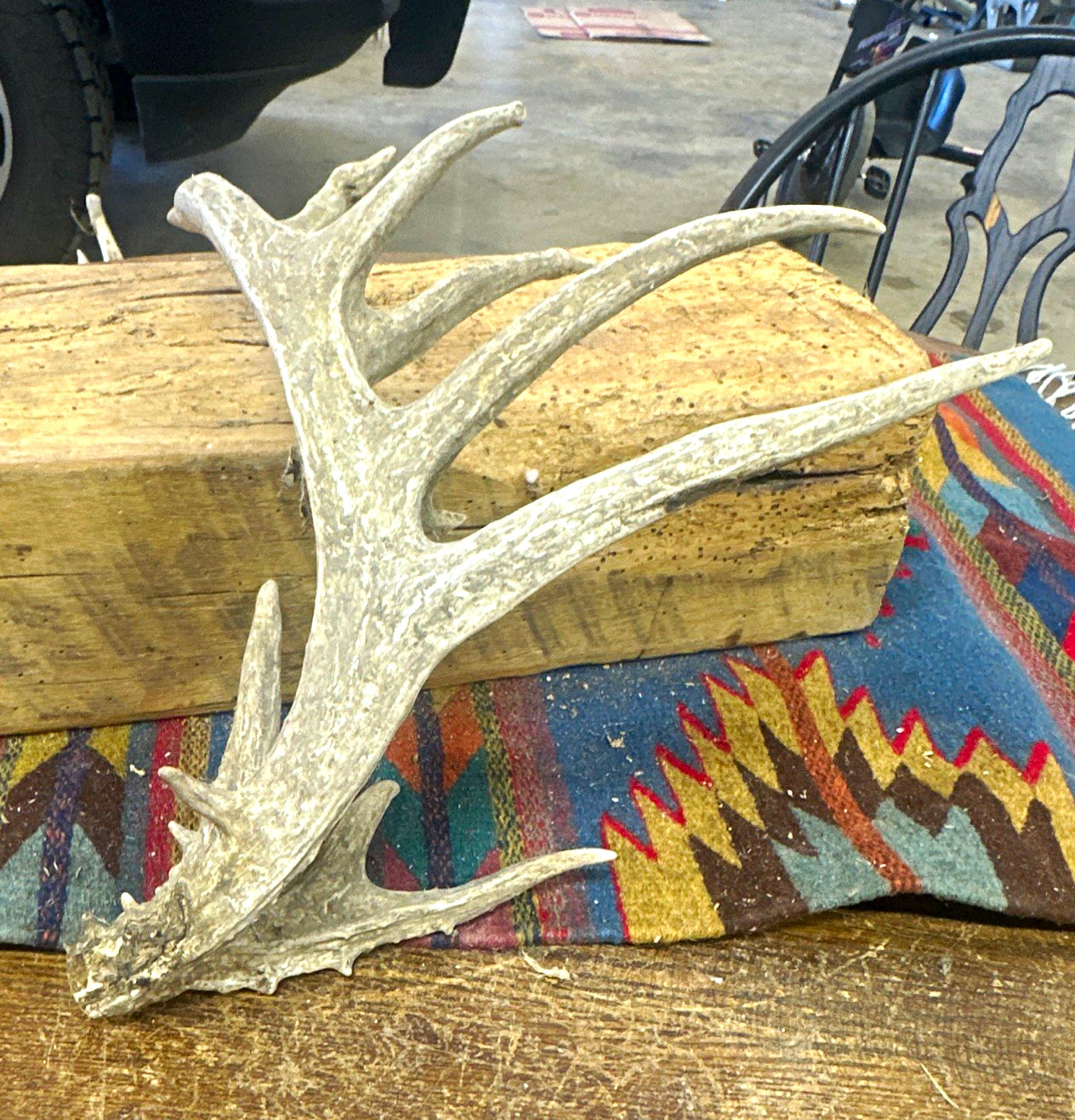 Deer Antler Shed Single Antler Horn Display Decor Piece - #1110 Deer Antler Shed Single Antler Horn Display Decor Piece - #1110
