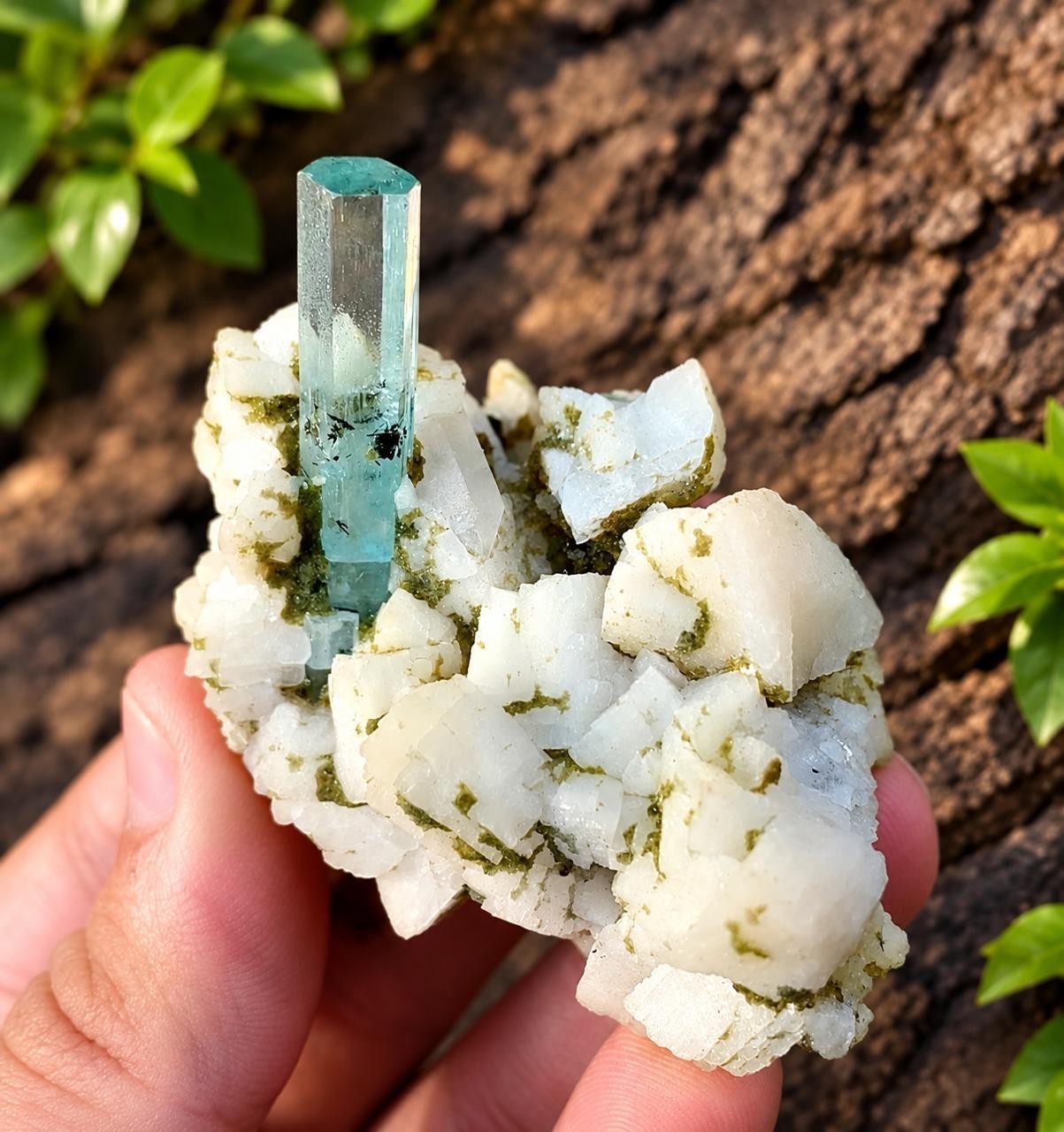 57 Gram Blue  Aquamarine Crystals  Specimen From Pakistan 