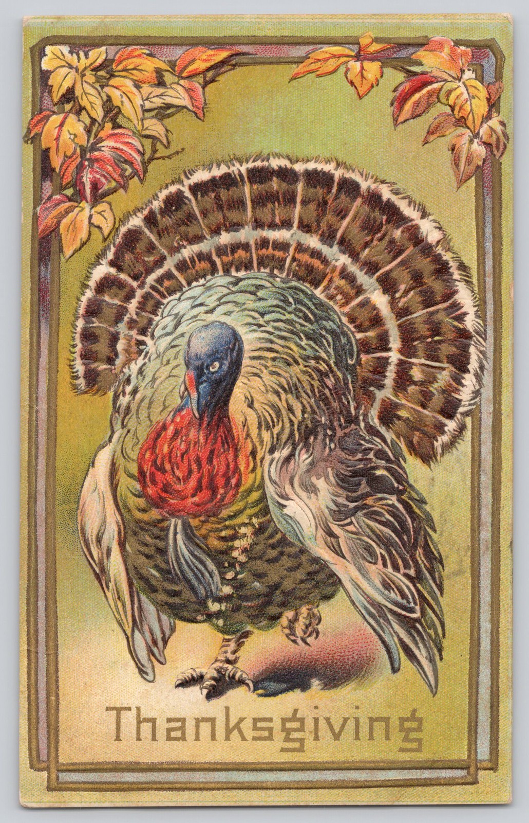 Thanksgiving Turkey Postcard Embossed c1908 Divided Back