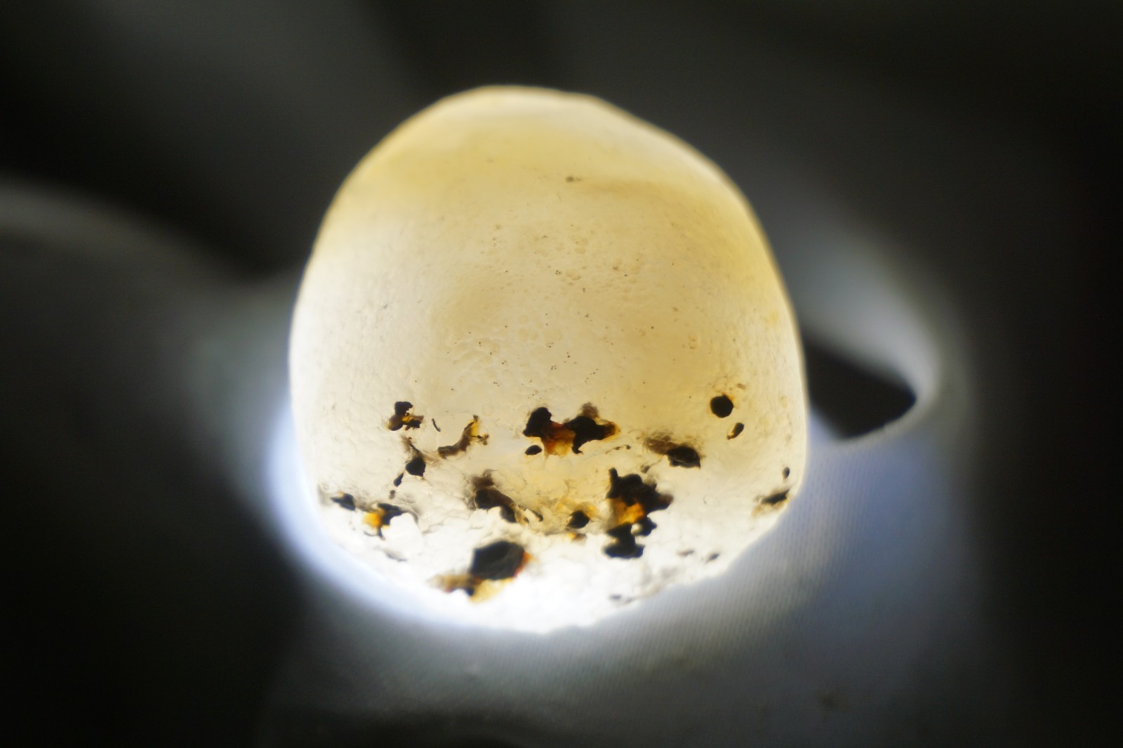 White Sheba - Cintamani - 22g - More rare than Saffordite Tektite #ska7