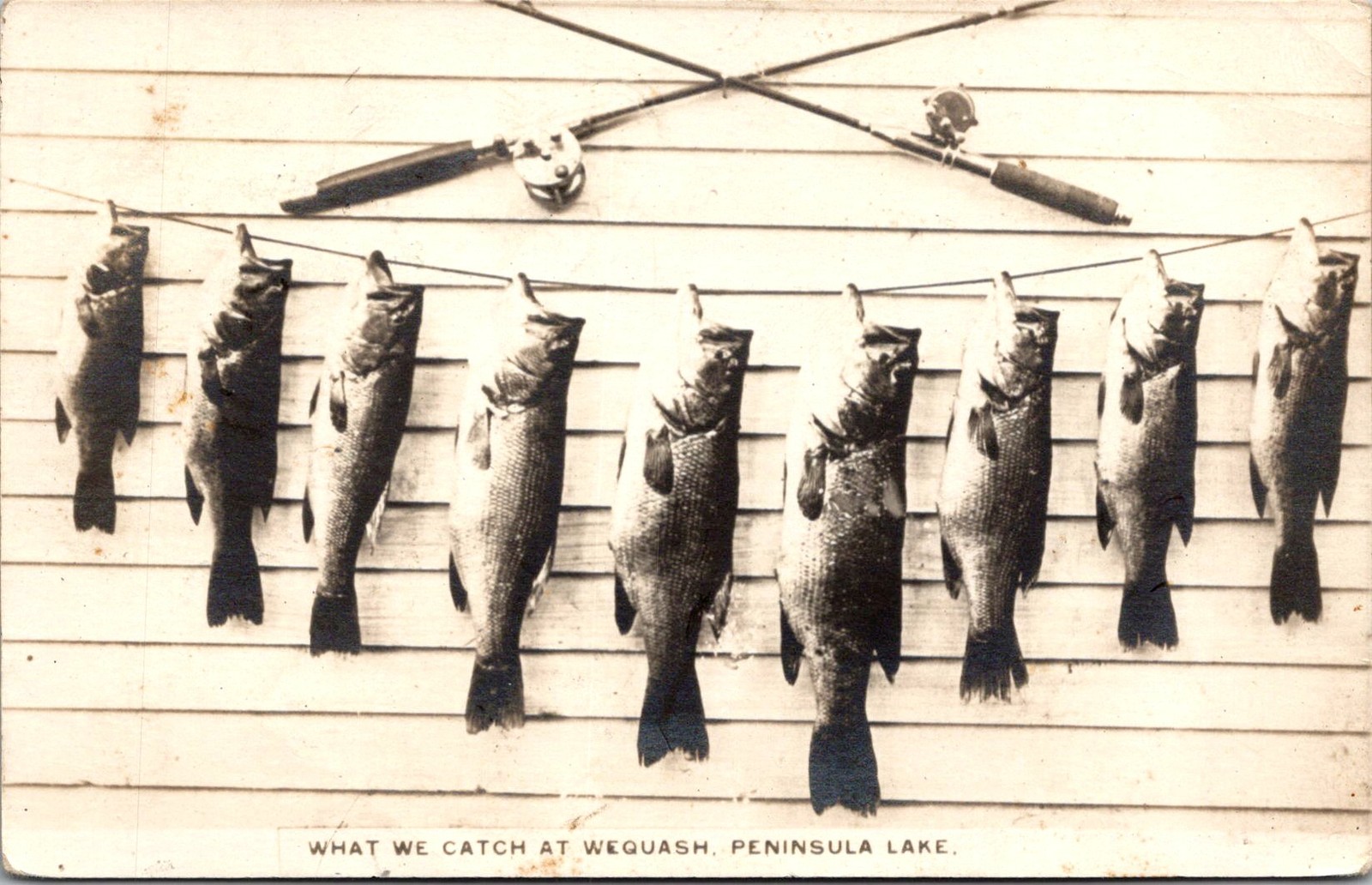 RPPC Wequash Peninsula Lake Fishing Catch Vintage Postcard 4P24-32