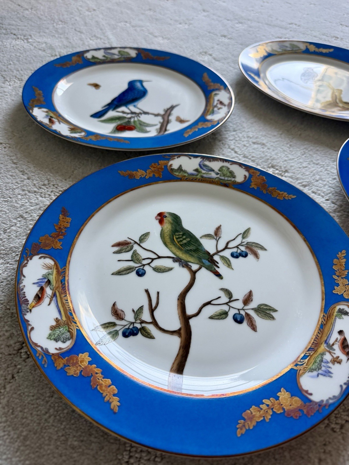 Rare Chelsea House Royal Blue Parrot Bird Botanical Display Plates 10” Set Of 6