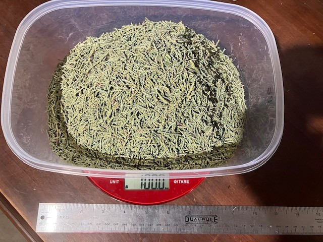 1 lb. Dried & Sifted Juniper Leaf From East Arizona, For Incense, Smudging, More