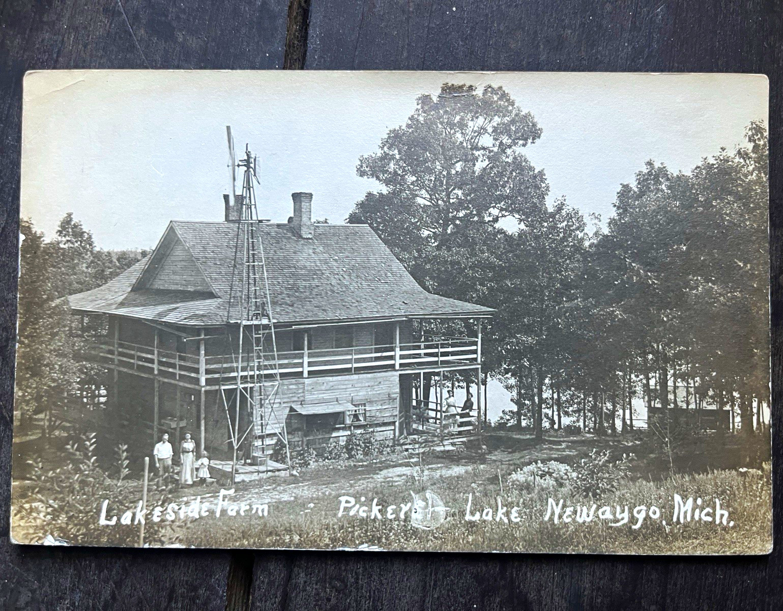 Vintage Lakeside Farm Pickerel Lake Newaygo Michigan RPPC Divided Back Posted Vintage Lakeside Farm Pickerel Lake Newaygo Michigan RPPC Divided Back Posted