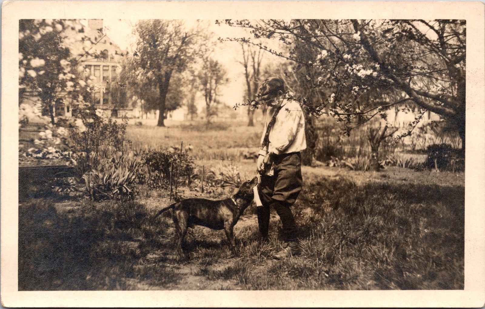 Vintage Real Photo Postcard Boy with Dog in Spring Garden CYKO RPPC