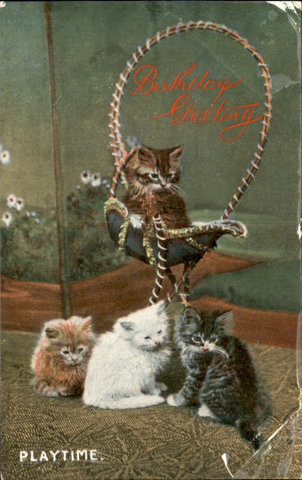 Kittens in playtime swing Studio Image W.G. London c1900s-10s Vintage Postcard