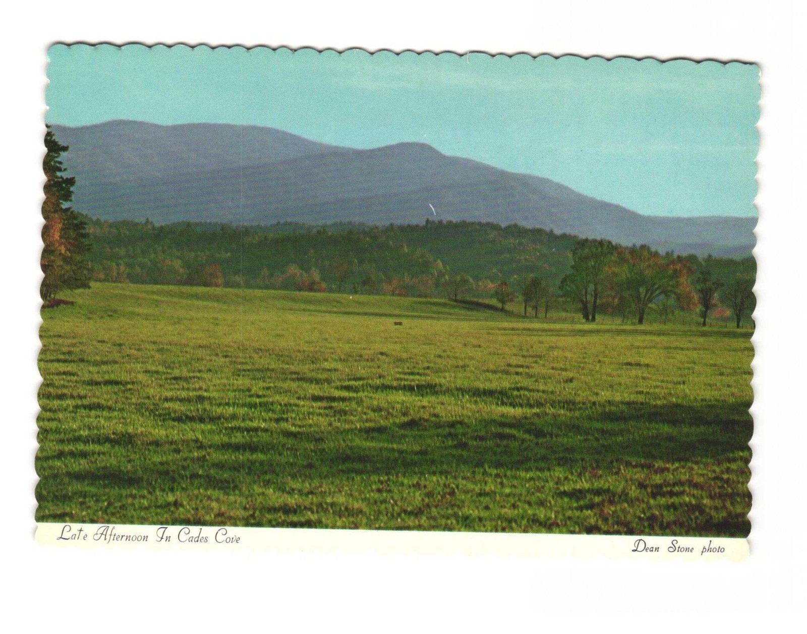 Late afternoon in Cades Cove Vintage postcard unposted