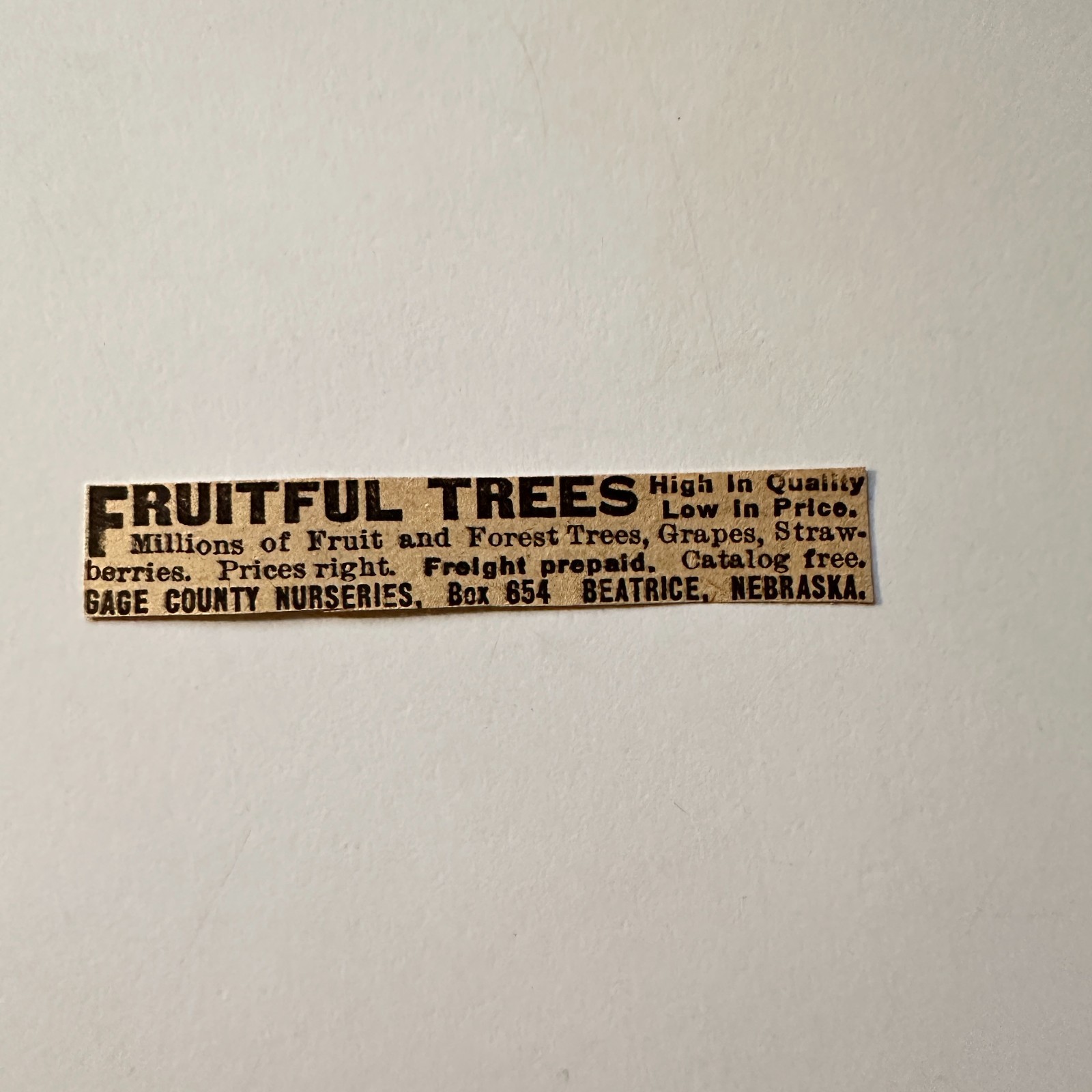 Gage County Nurseries Fruitful Trees Beatrice NE 1906 Minneapolis Ad 5AL1-S15