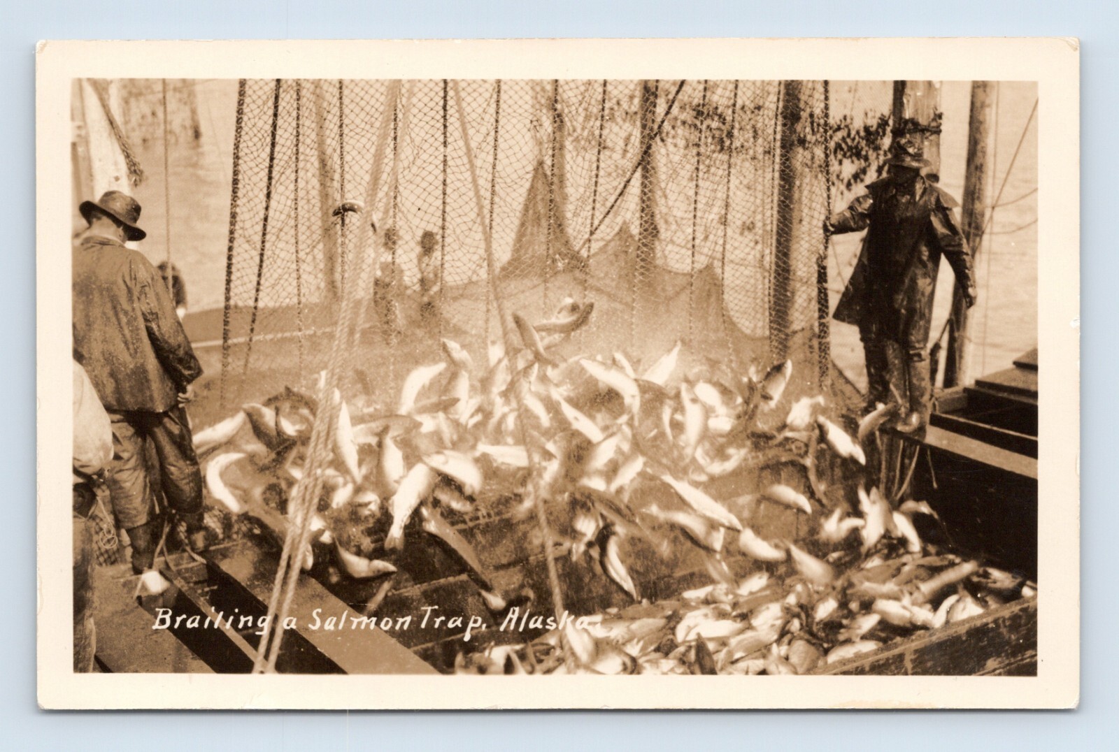 RPPC  Schallerer Brailing Salmon Trap Ketchikan Alaska AK UNP Postcard N6