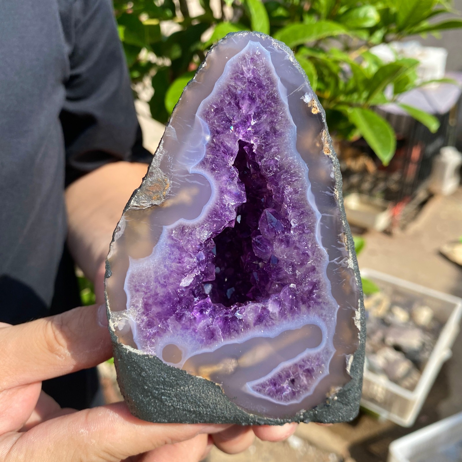 1.2lb Natural Amethyst geode quartz cluster crystal Rough specimen Healing