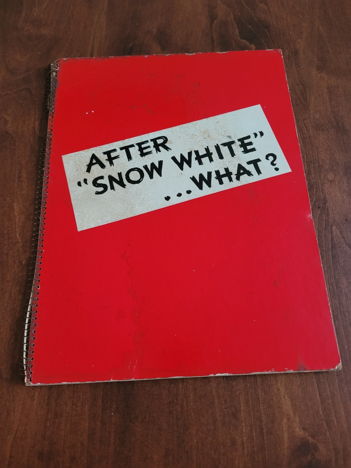 Rare 1938 Walt Disney Production \'After Snow White\' Publicity RKO Radio Book