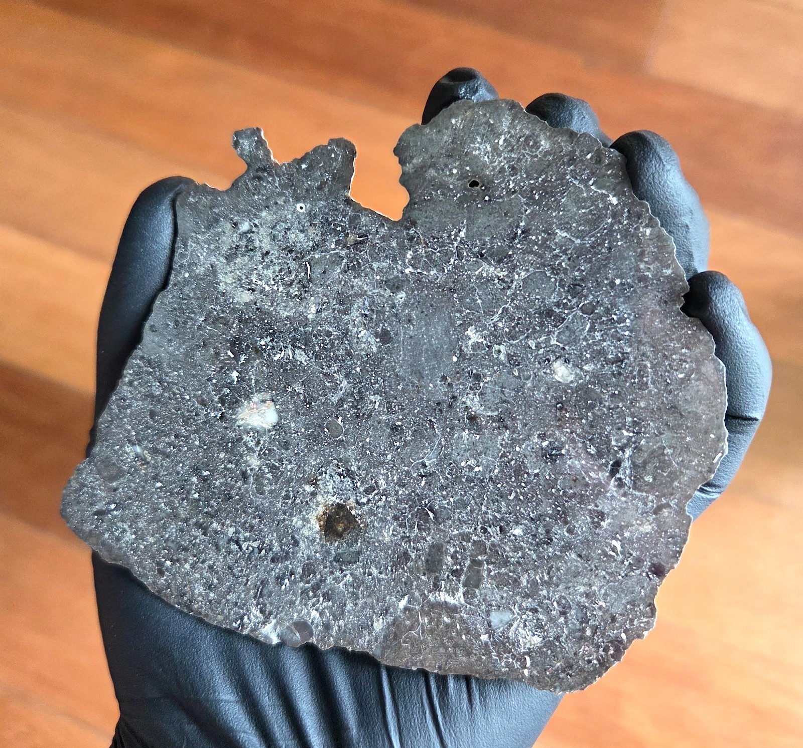 Museum Grade 65g Lunar Meteorite NWA 17509 Troctolite, Large Full MOON Slice 