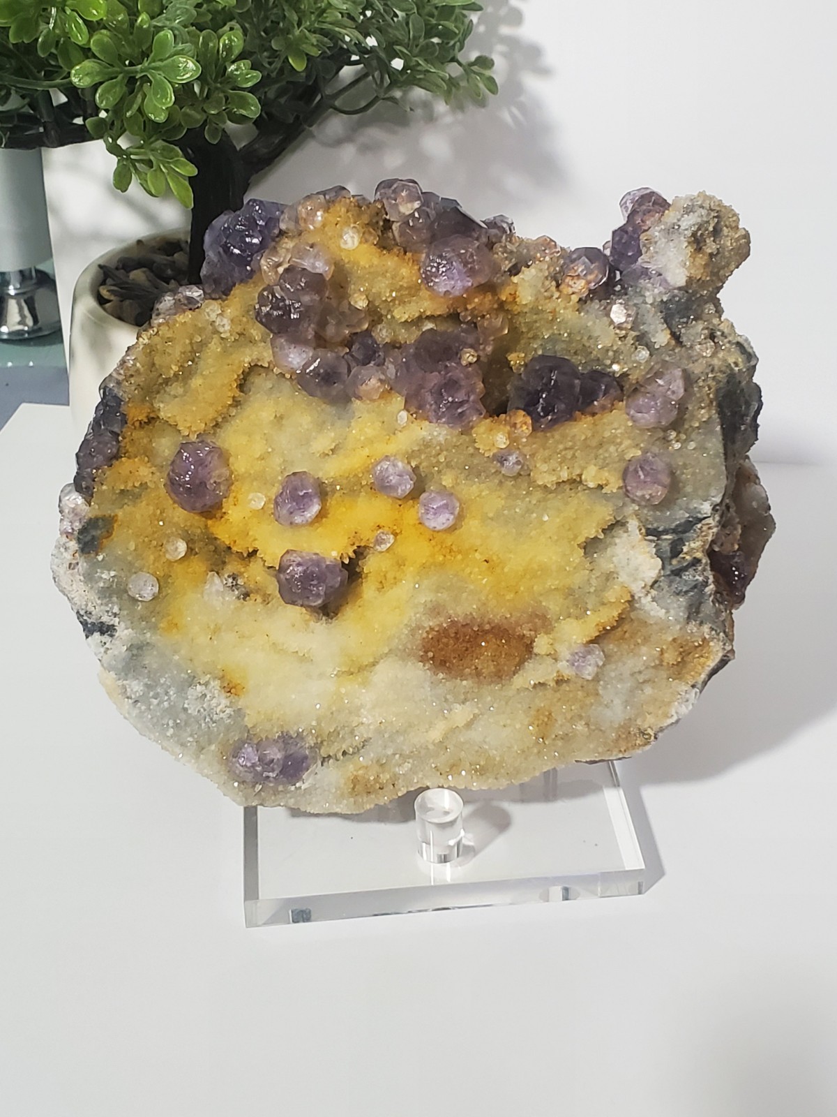 Tanzanite Fluorite On tan-colored quartz-rich matrix Statement PEACE  1KG 210G