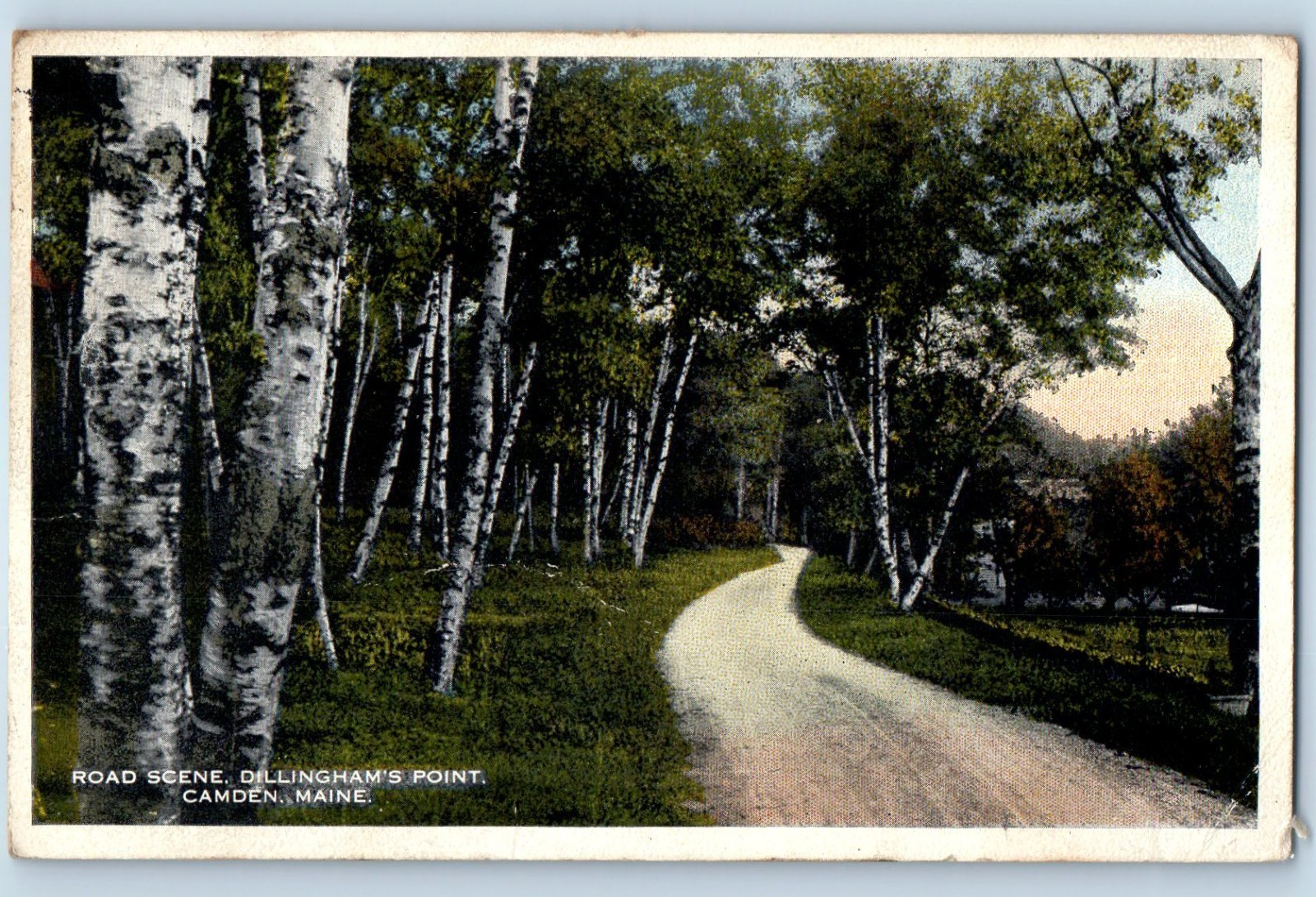 c1916 Camden Maine ME Vintage Postcard Road Scene Dillingham\'s Point Tree Posted