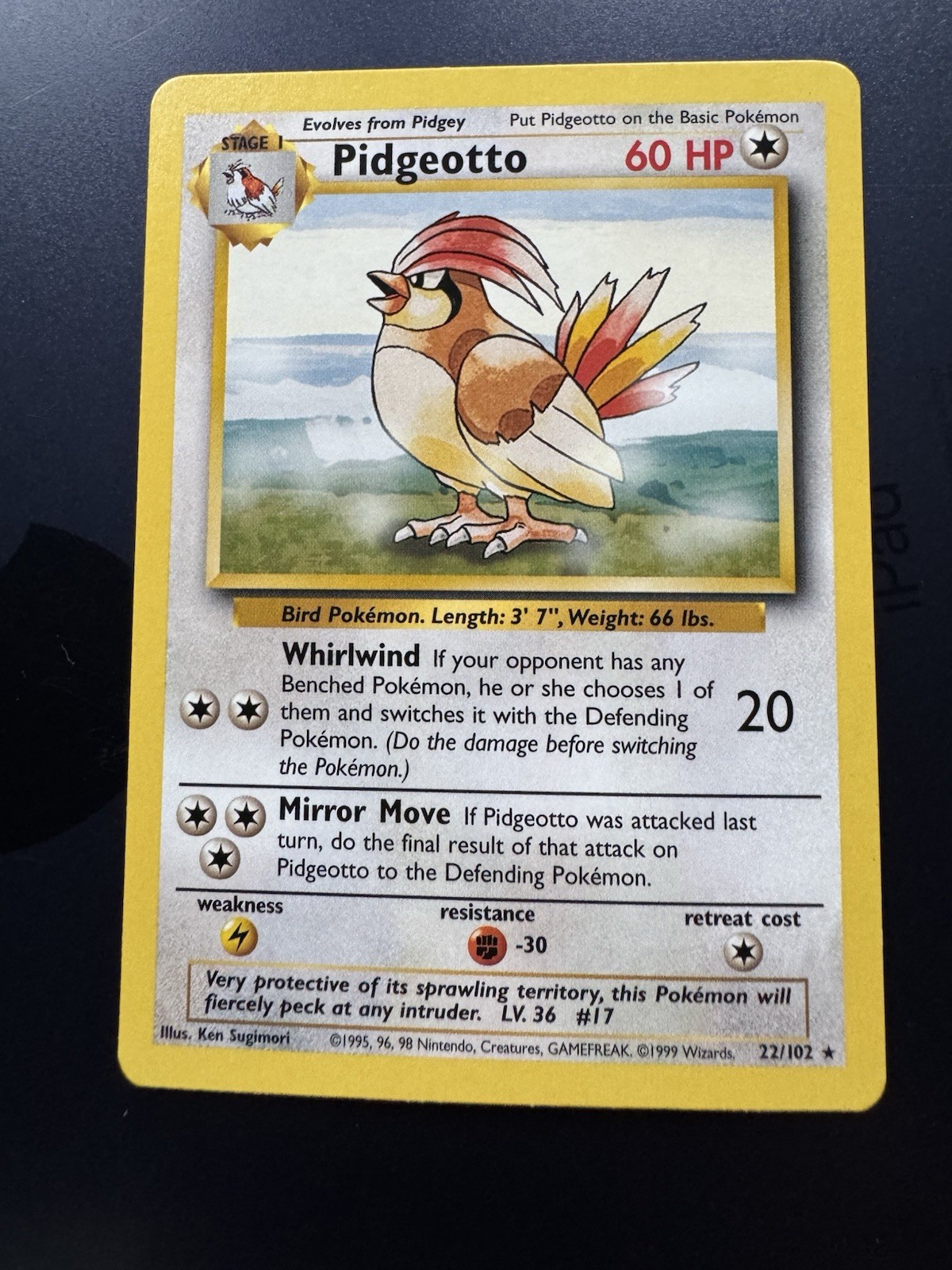 Pokémon TCG Pidgeotto & Pidgey Base Set