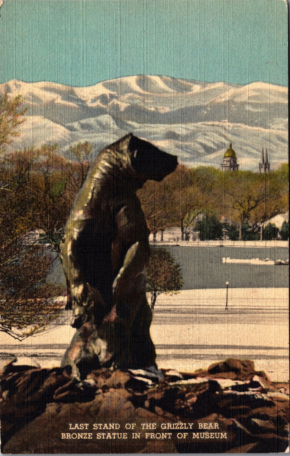 1948 Denver Museum of Natural History Last Stand Grizzly Bear Statue Postcard