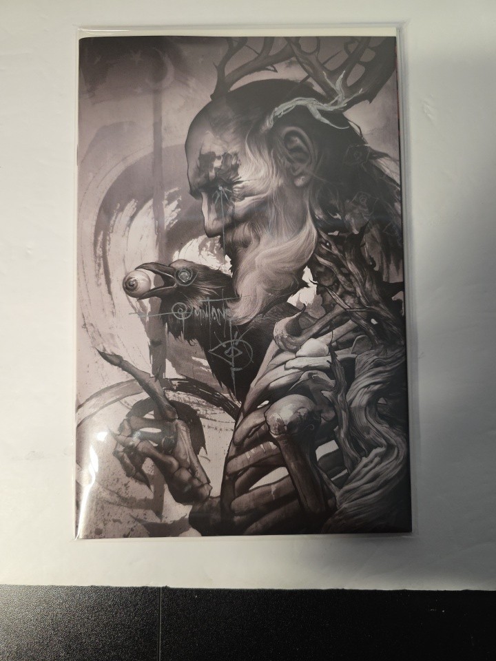 Odin #1 Signed & Remarqued  SDCC 2026 Dan Quintana Virgin NM Ltd /500