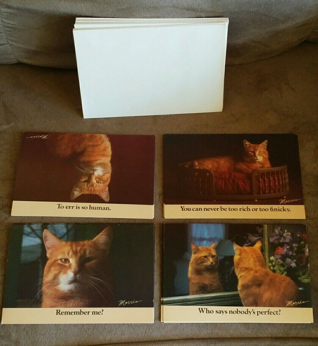 Morris the Cat 9-Lives 1984 Greeting Cards in 4 Designs with Envelopes Set of 24