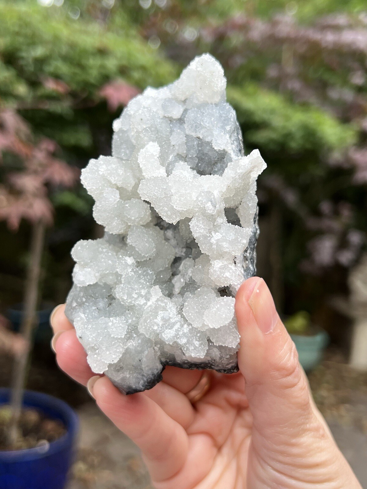 Blue Chalcedony Stalactite Cluster Geode Specimen 216g 37