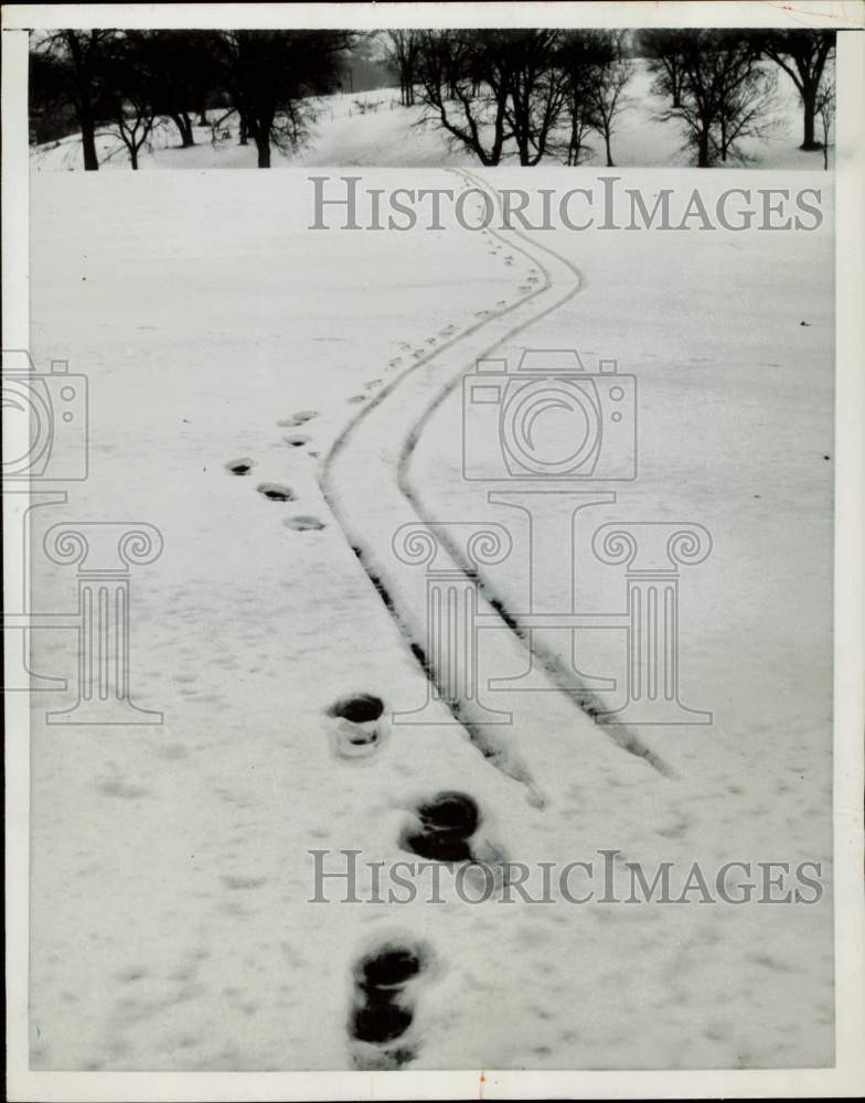 1956 Press Photo Track pattern left by a boy with carrying a sled in Leavenworth