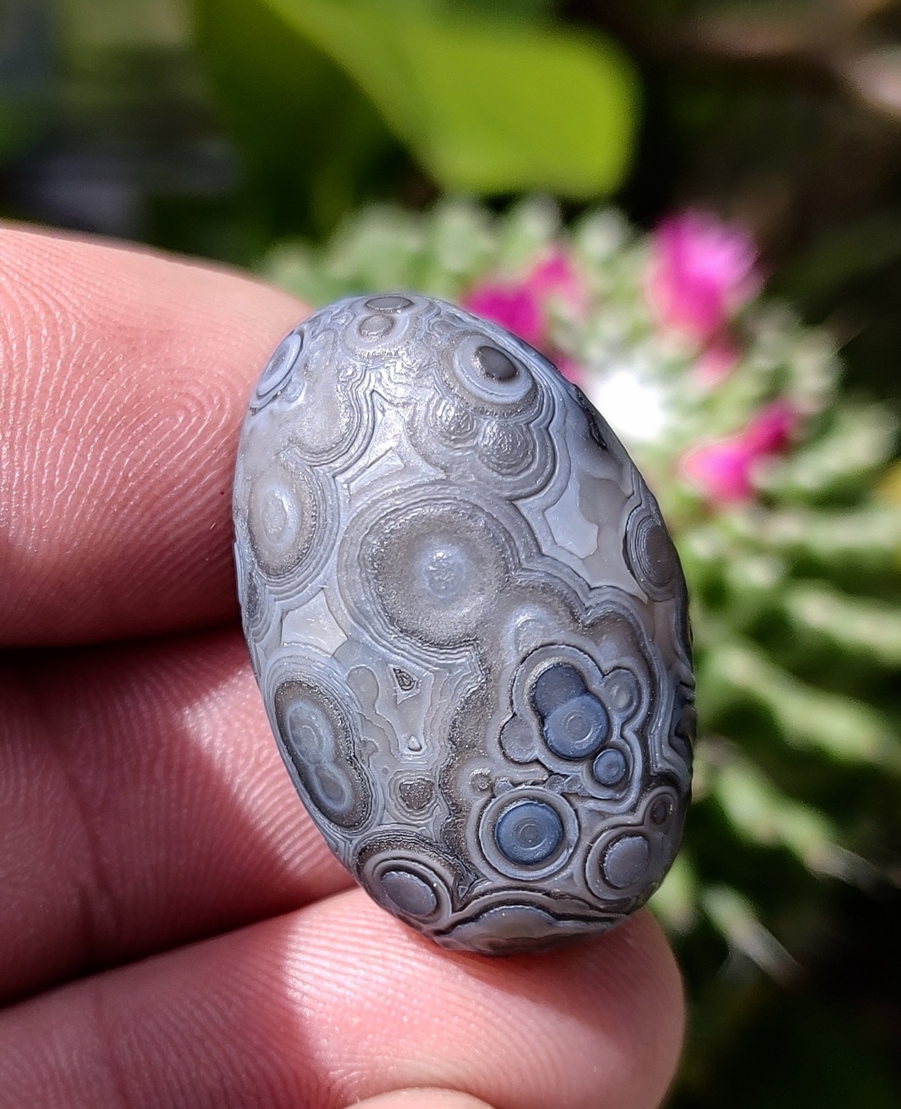  GOBI EYE AGATE, DRAMATIC MULTI-EYE GOBI DESERT AGATE  16G