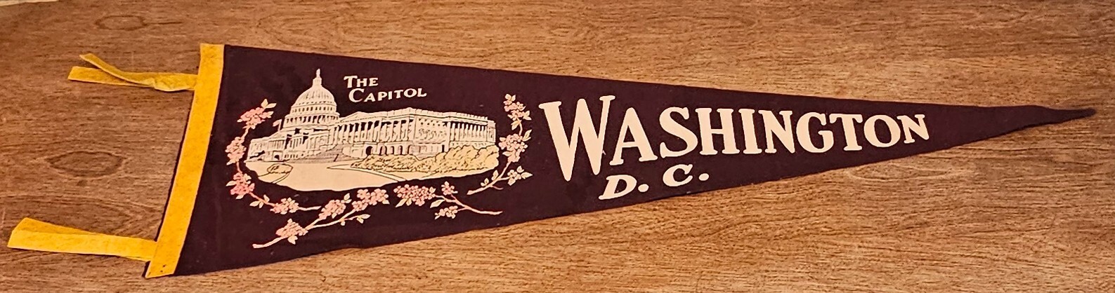 Rare Vintage Washington DC Felt The Capitol Landmark Pennant