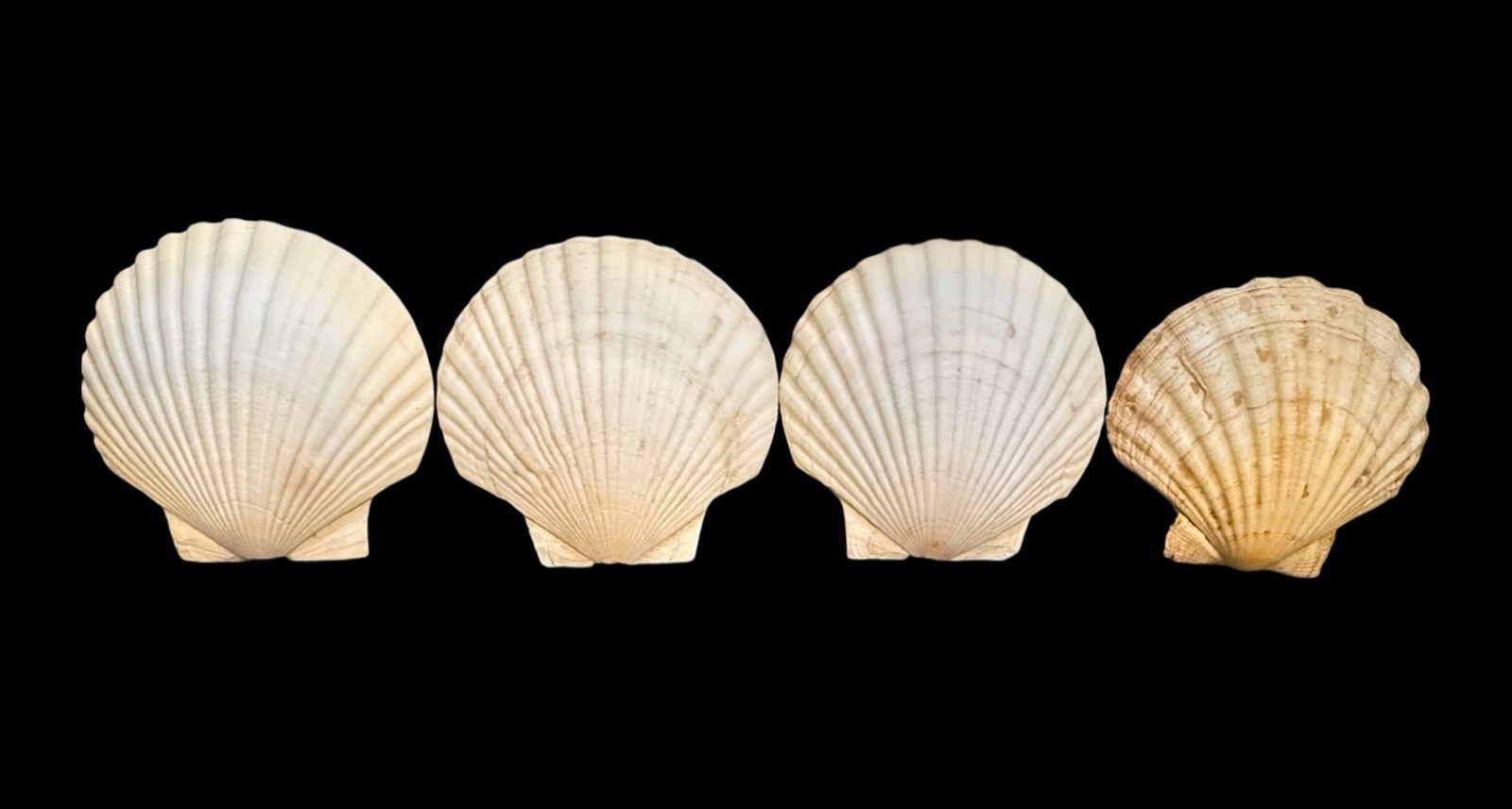 Lot Of 4 VINTAGE 5\ Lot Of 4 VINTAGE 5\