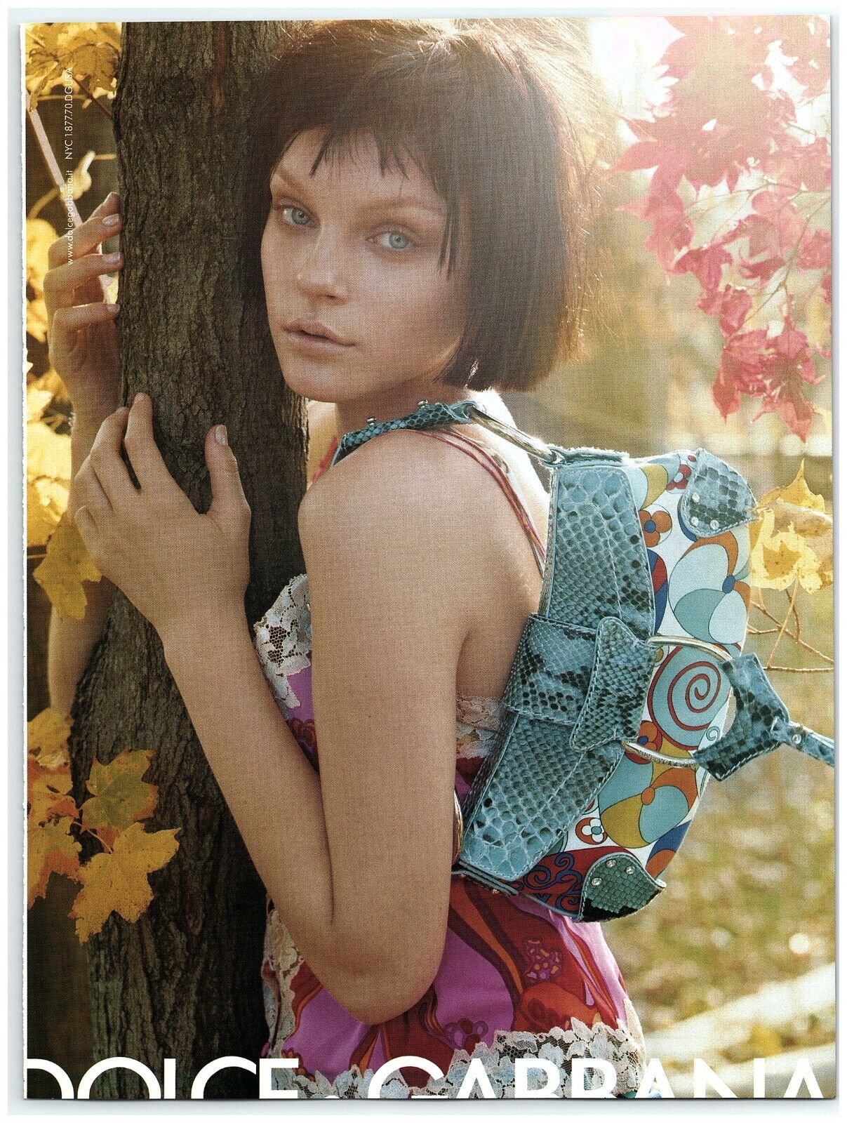 2004 Dolce & Gabbana Print Ad, Snakeskin Purse Hand Bag Short Hair Brunette Tree
