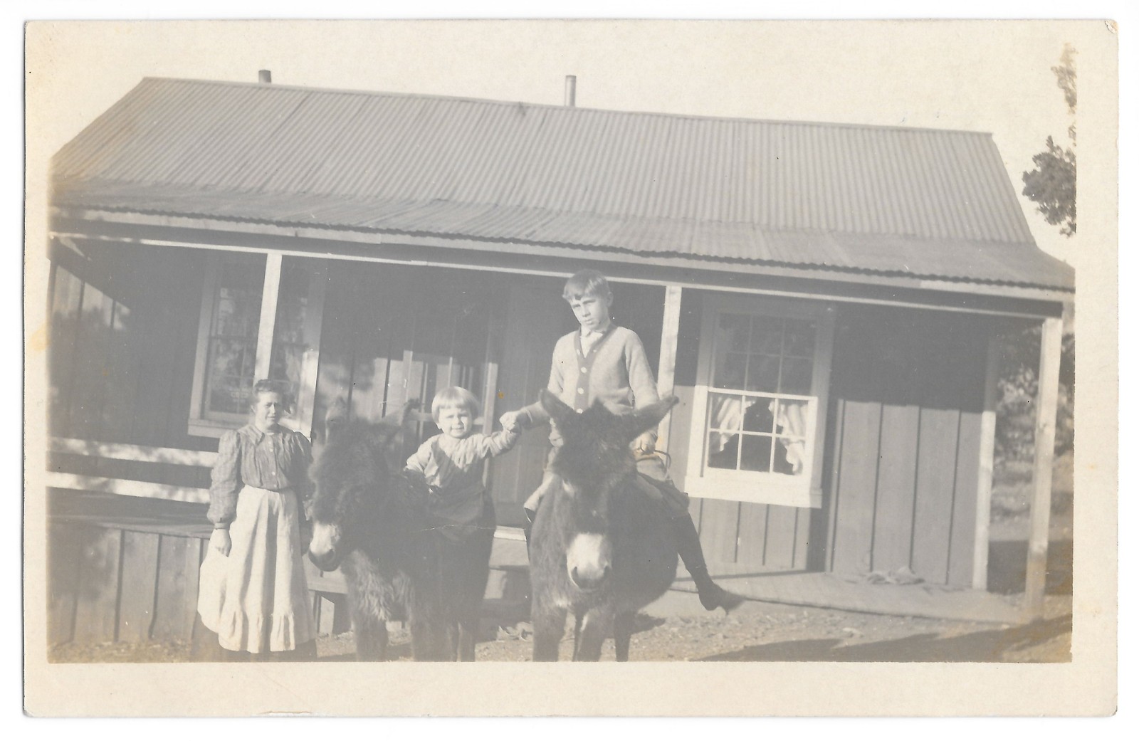 RPPC Metz Family & Two Donkeys Farmhouse Scene -1910s Real Photo Postcard