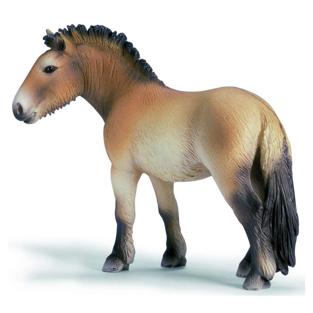 NEW Schleich 13620 Horse Przewalski's Horse mongolian farm life RETIRED figurine