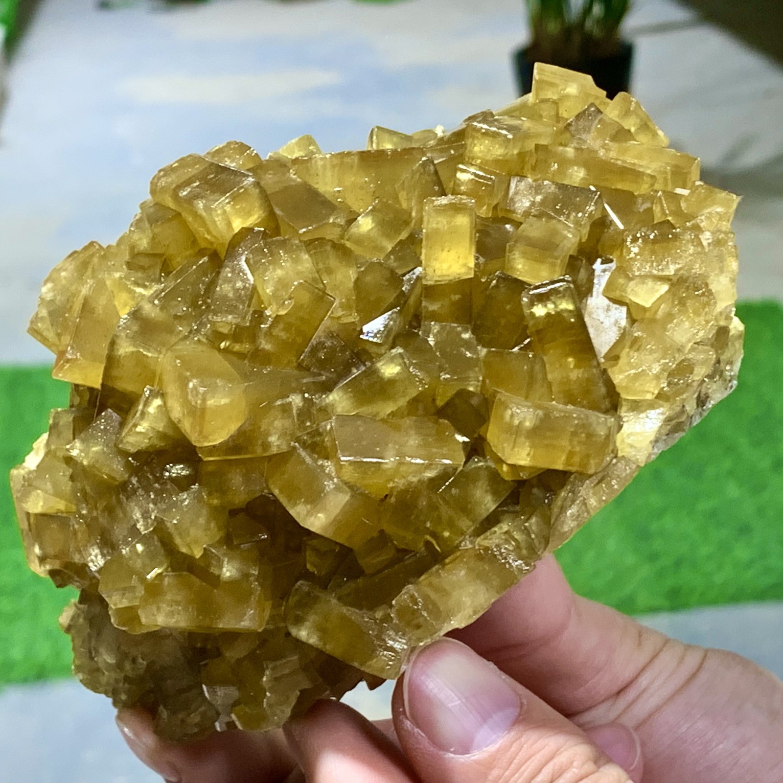 1.87LB Natural
