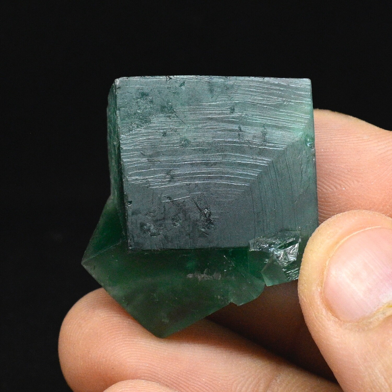 Cluster of UV reactive Green fluorite (Nonprecious natural mineral) #2908