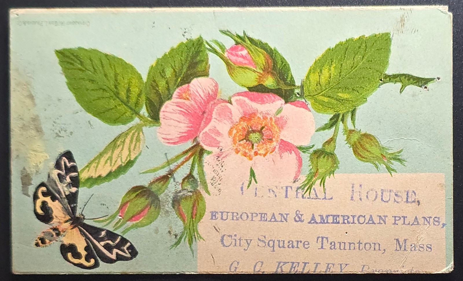 Victorian Trade Card Central House Taunton MA G.G. Kelley Floral Butterfly