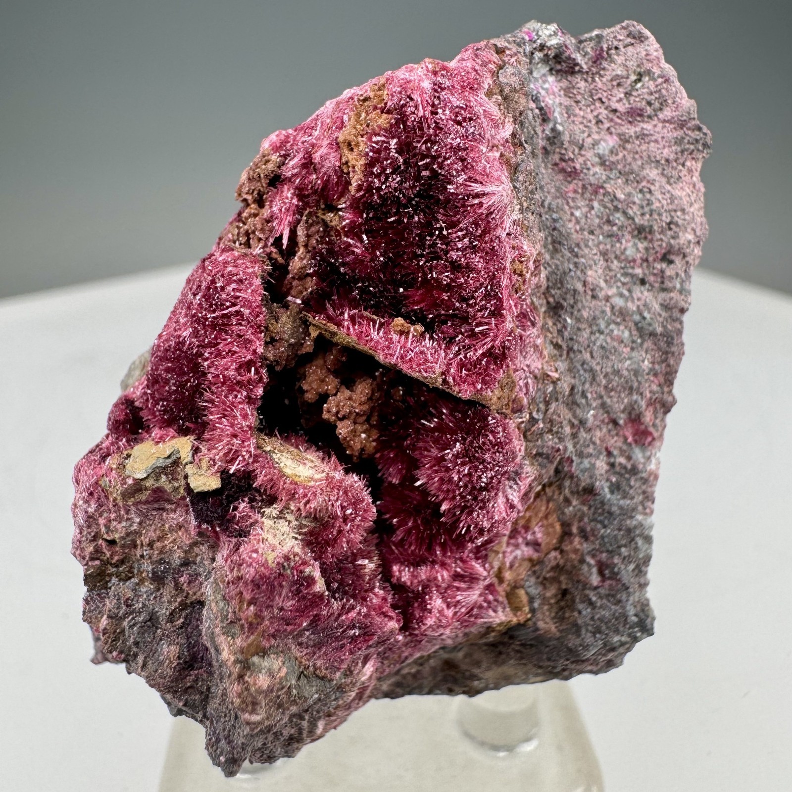 Fine Crystallized Erythrite: Sara Alicia Mine, Álamos Mun., Sonora, Mexico