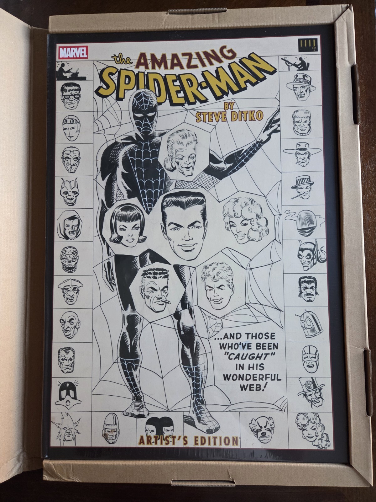 Amazing Spider-Man by Steve Ditko Artist's Edition HC DM Variant New Sealed Ding