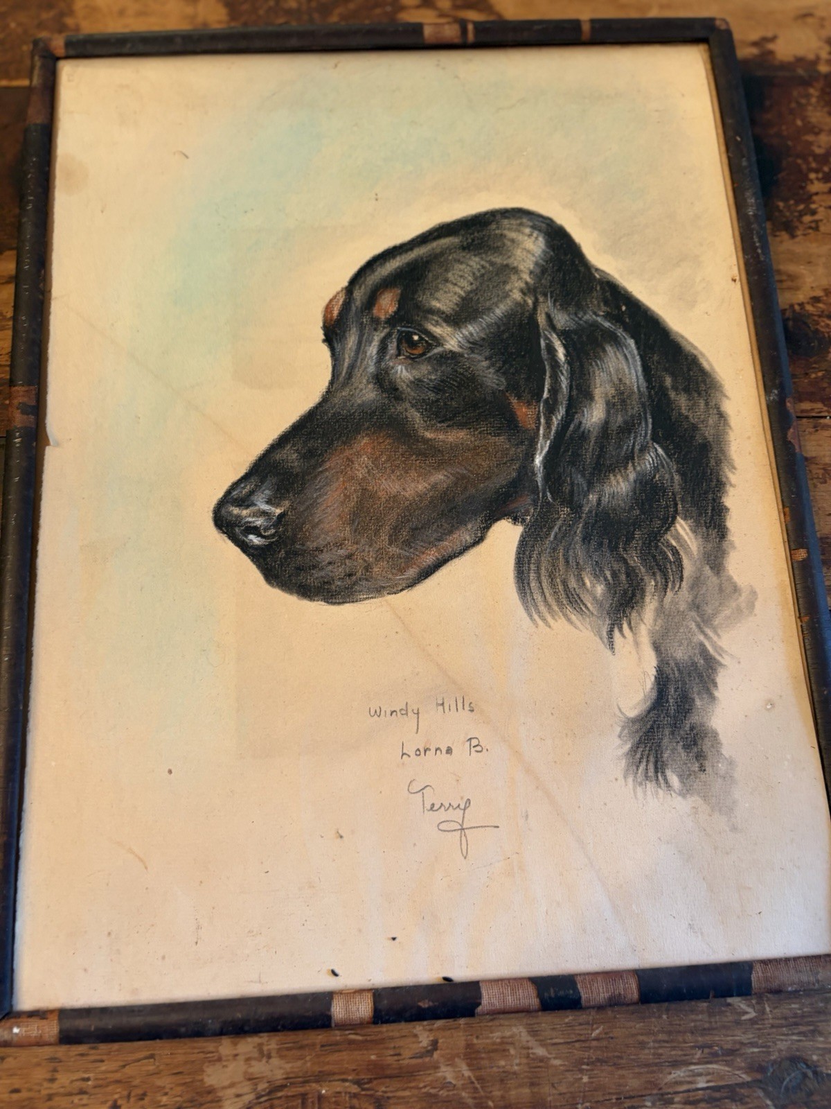 Vintage Gordon Setter Lorna B Windy Hills Original Artwork Vintage Gordon Setter Lorna B Windy Hills Original Artwork