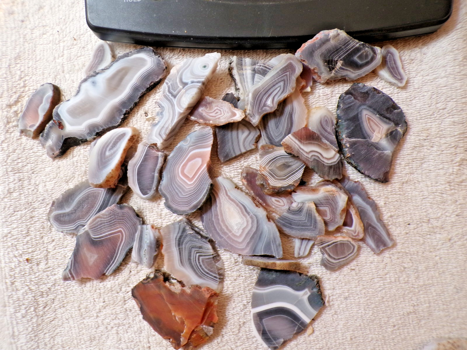 35 Pc. Unpolished Botswana Agate Slices - 14.5 Oz.