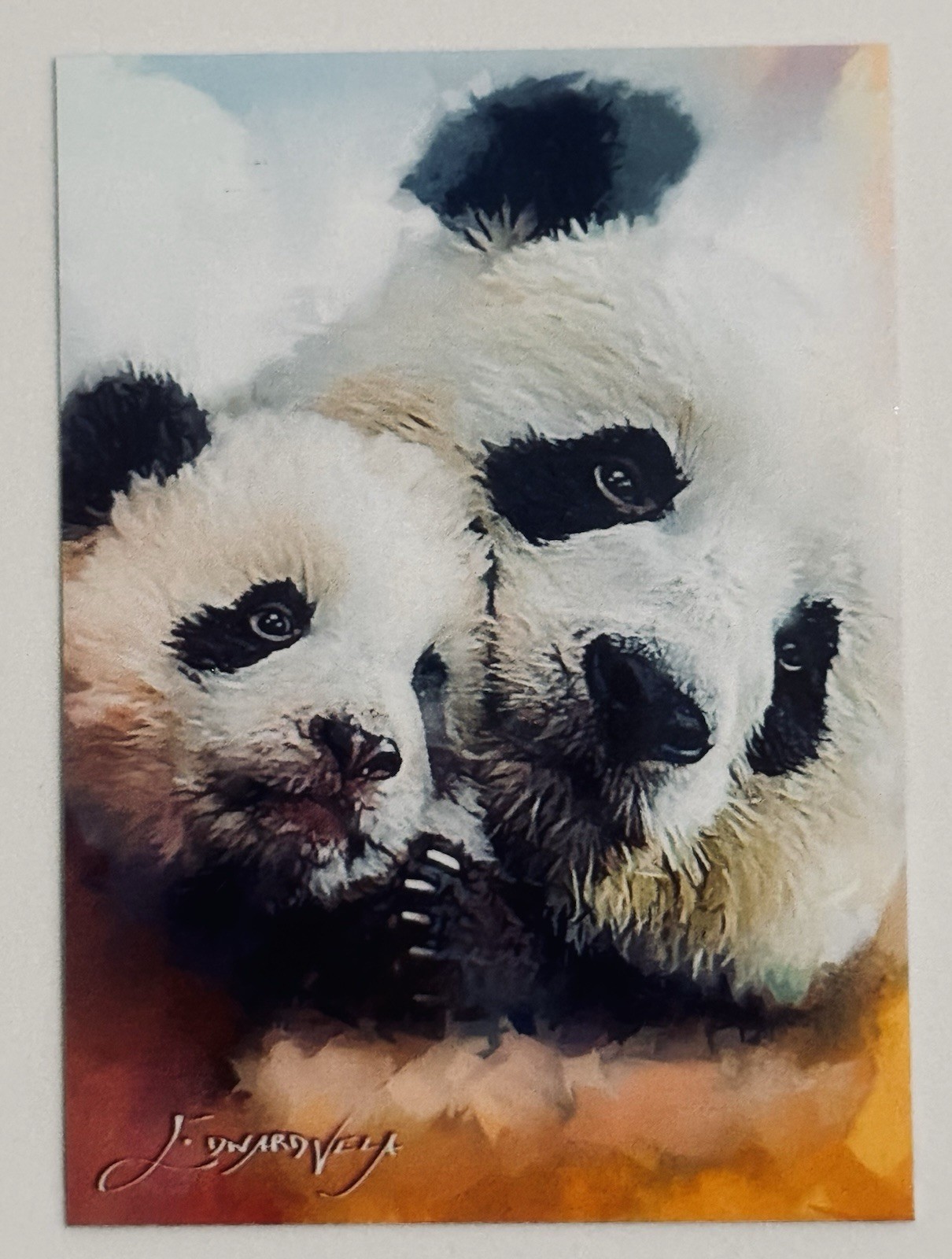 Giant Panda #3 Limited Edition Signed Edward Vela card (Nature) 22/50 Giant Panda #3 Limited Edition Signed Edward Vela card (Nature) 22/50