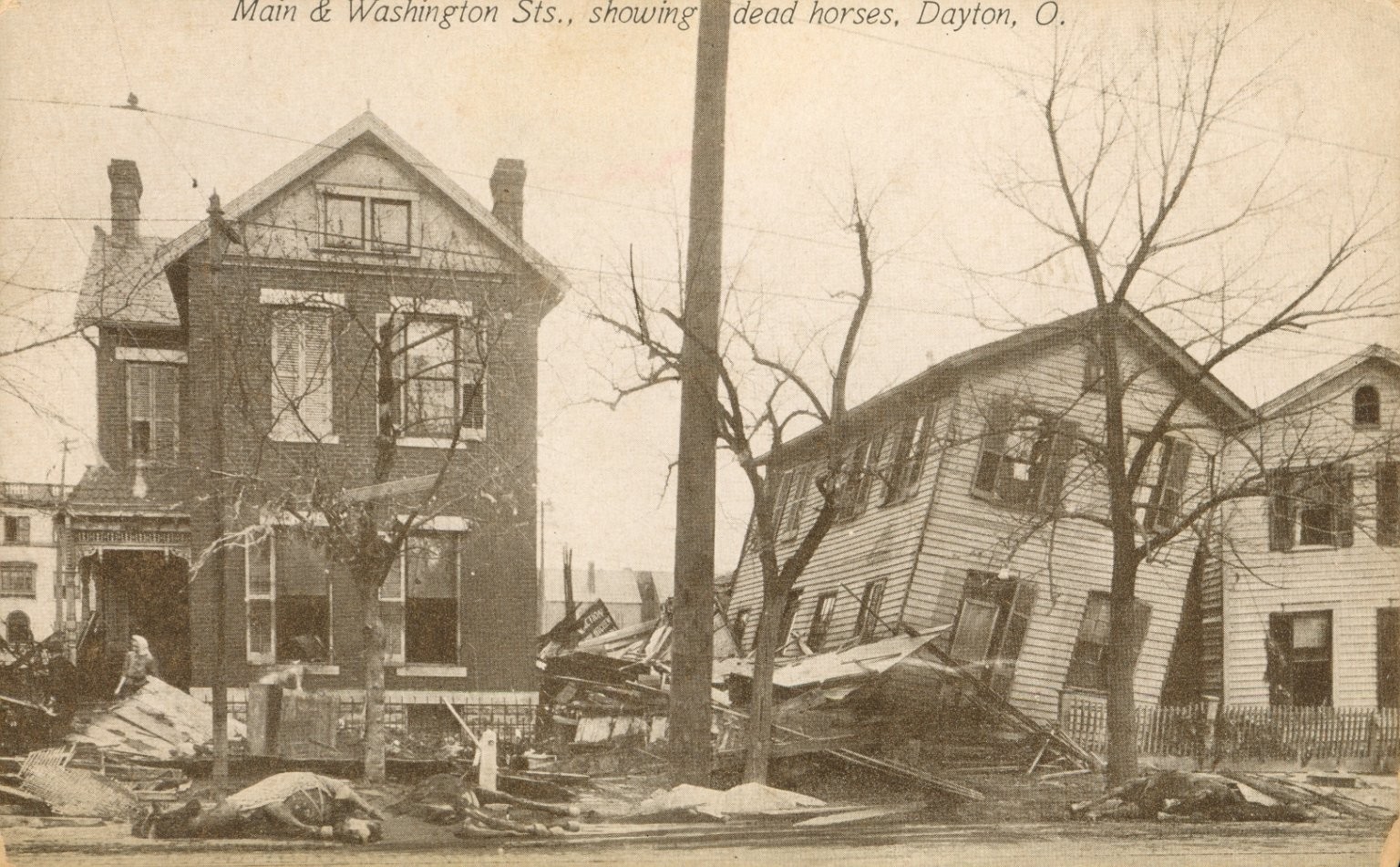 1913 Dayton Flood RPPC Main & Washington St Dead Horses Ohio Disaster Postcard