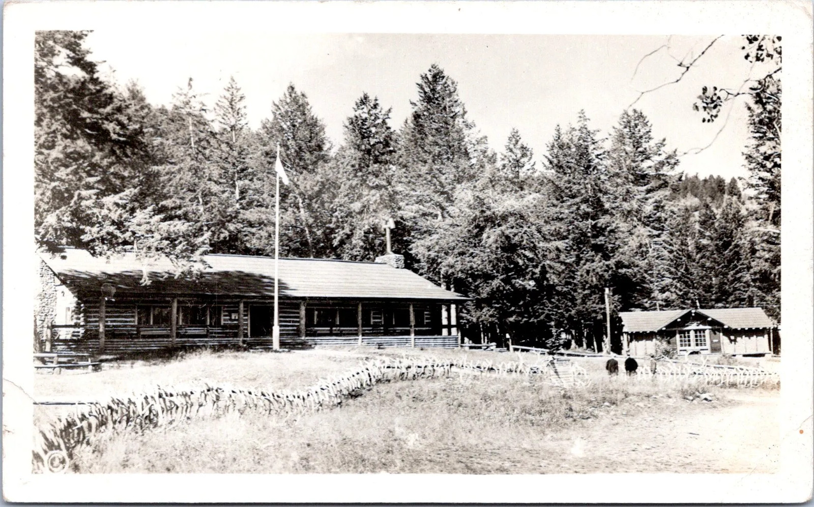 Camp Roosevelt Yellowstone Park, Lodge - RPPC