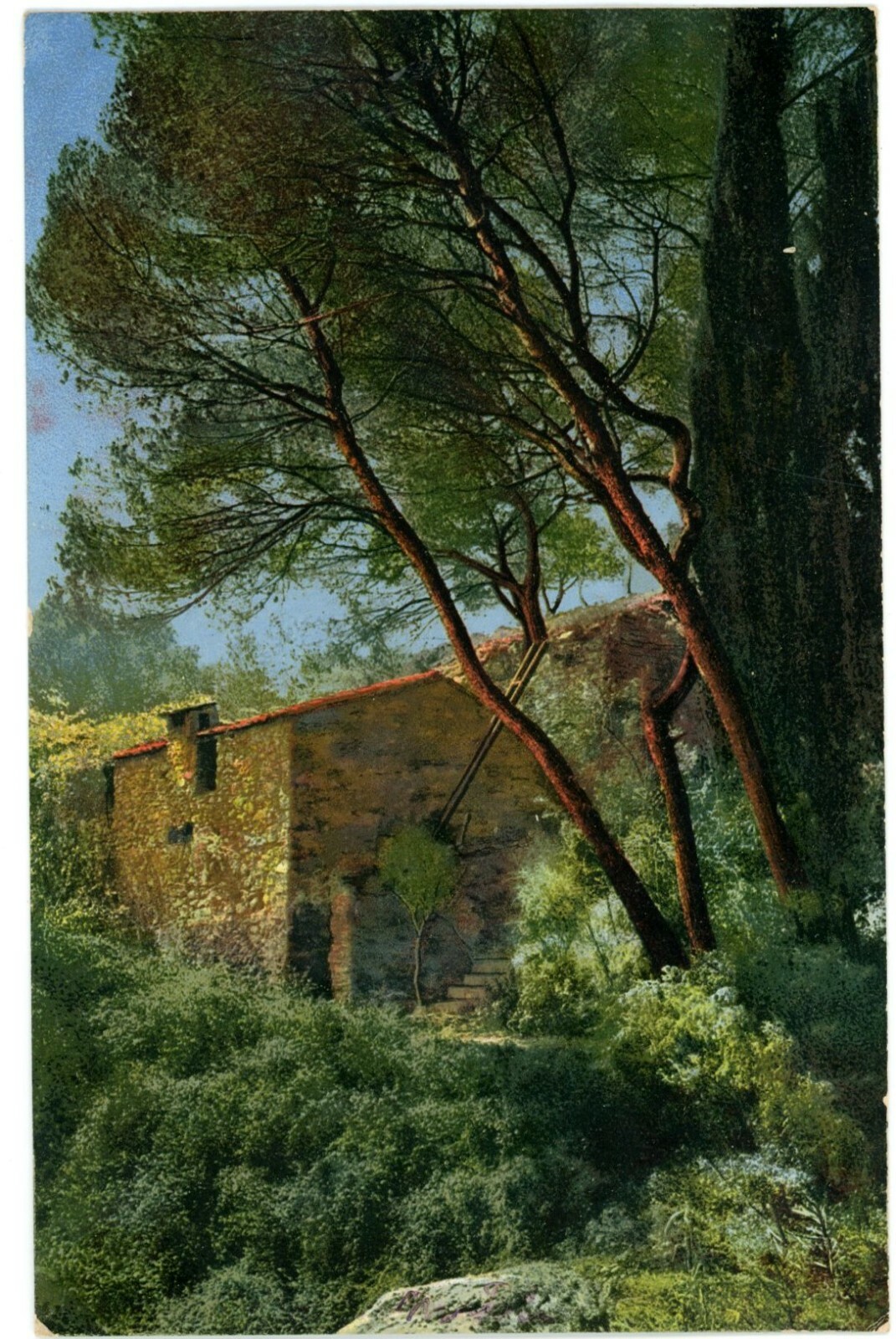 Mortola Italy Riviera di Ponente Rustic Stone House Photochrom Postcard Unused