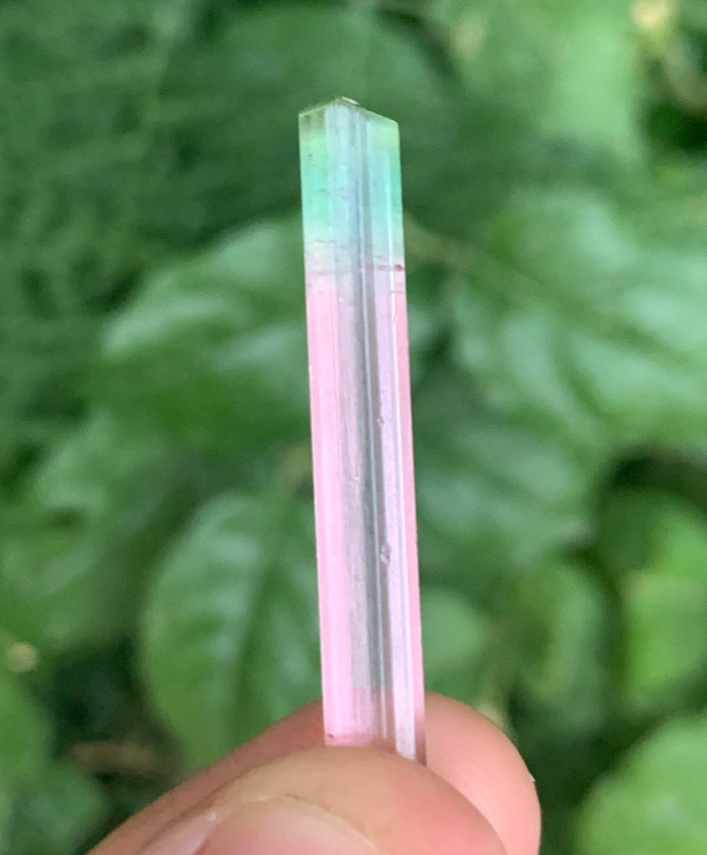9.50 ct top quality heated bi-color tourmaline rough crystal from Afghanistan