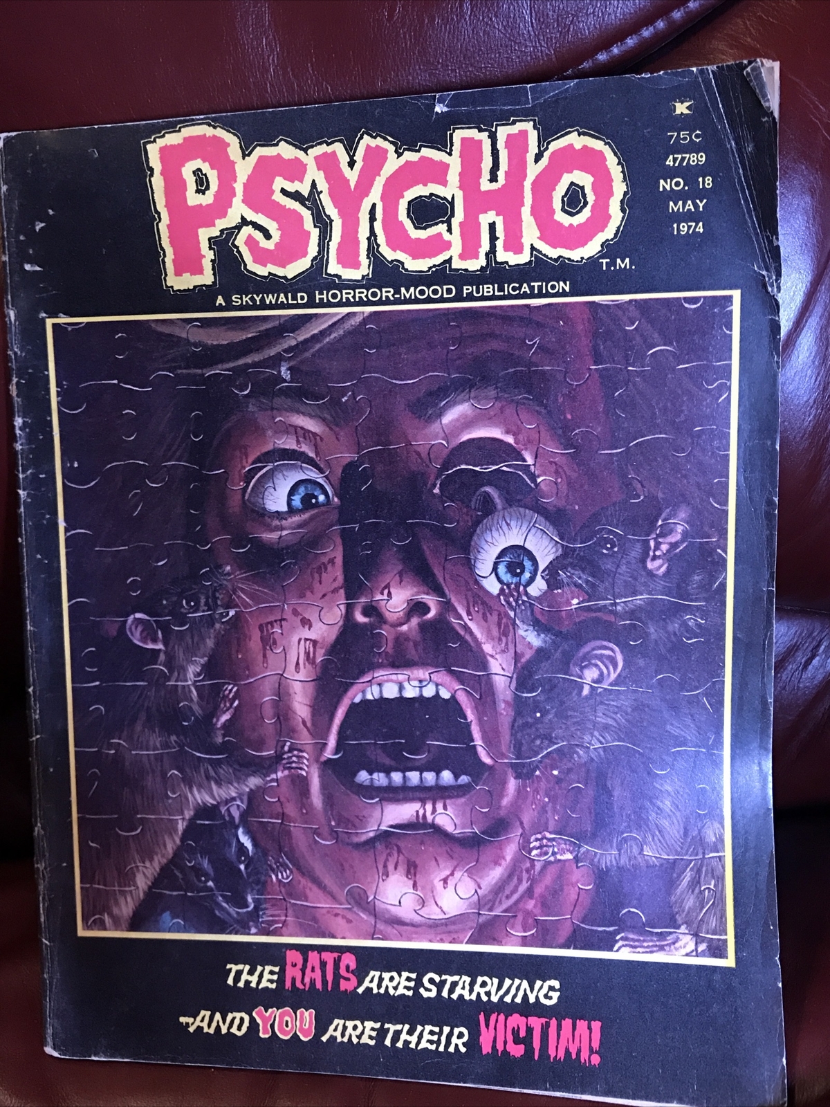 Psycho Magazine #18 Skywald Publishing - 1973 - Horror / Gruesome  Cover Art