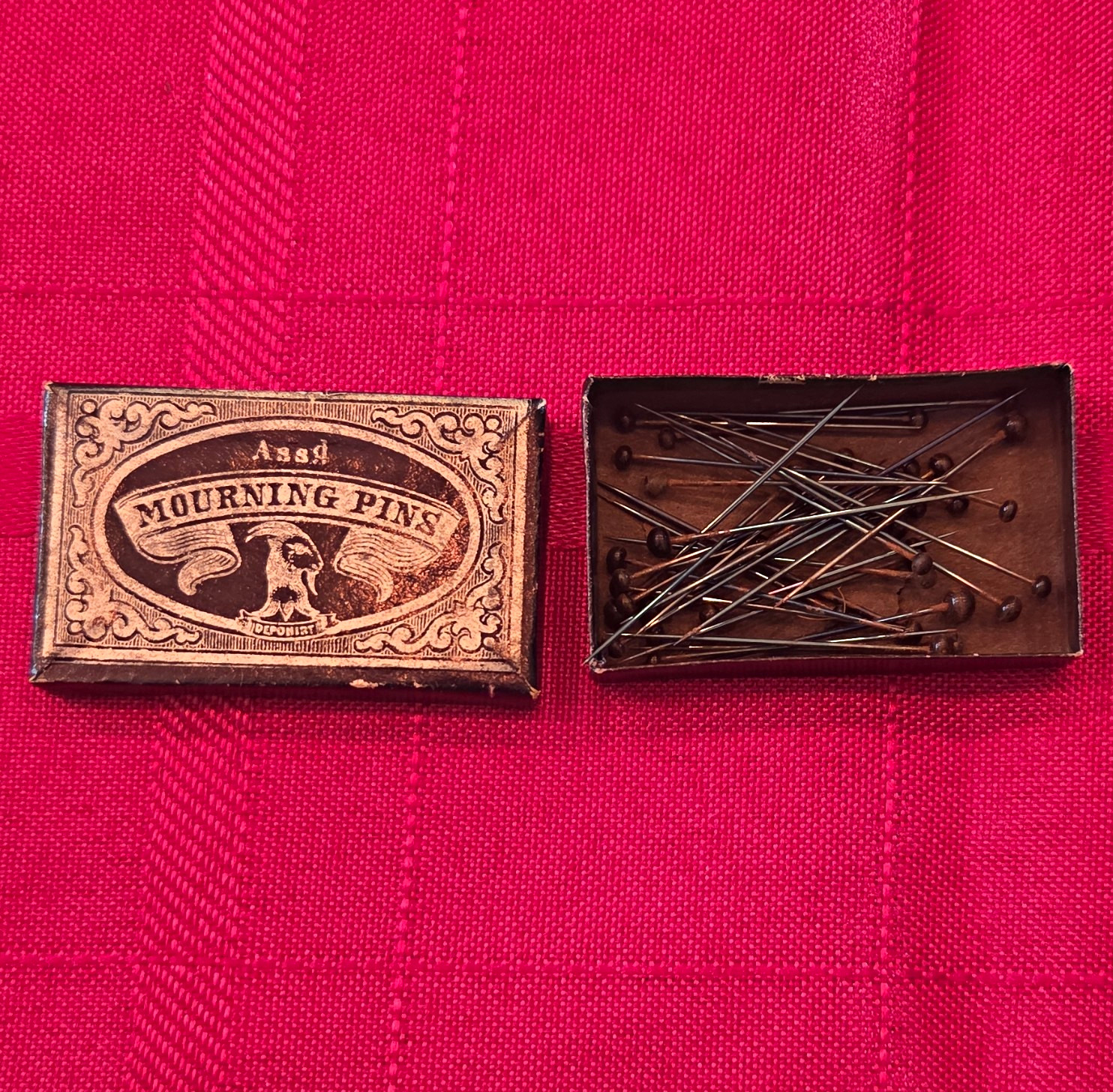 Vintage Victorian Mourning Pins in Original Box, Round Eye, Sharp Tip 10