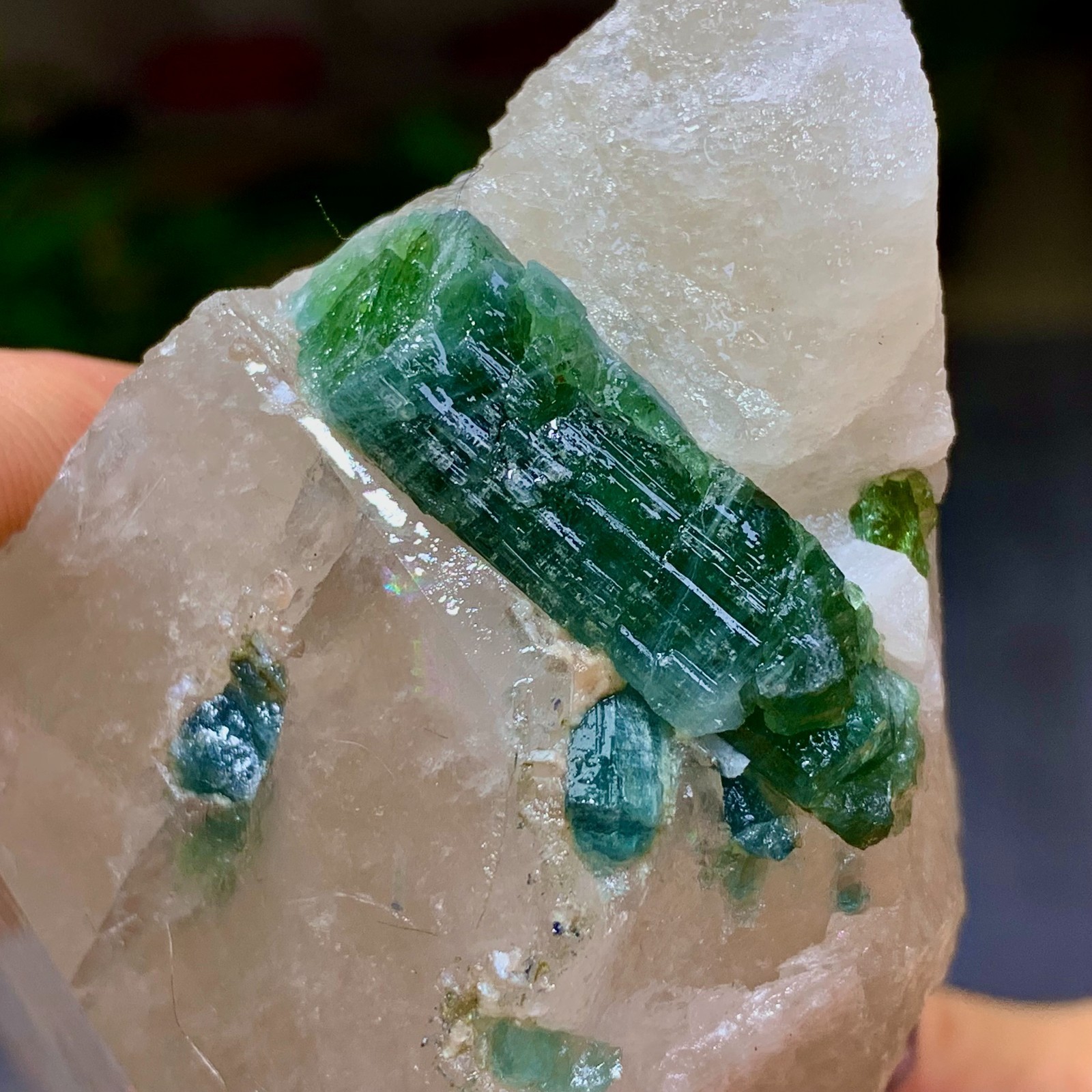 342G Natural green tourmaline quartz crystal cluster mineral specimen