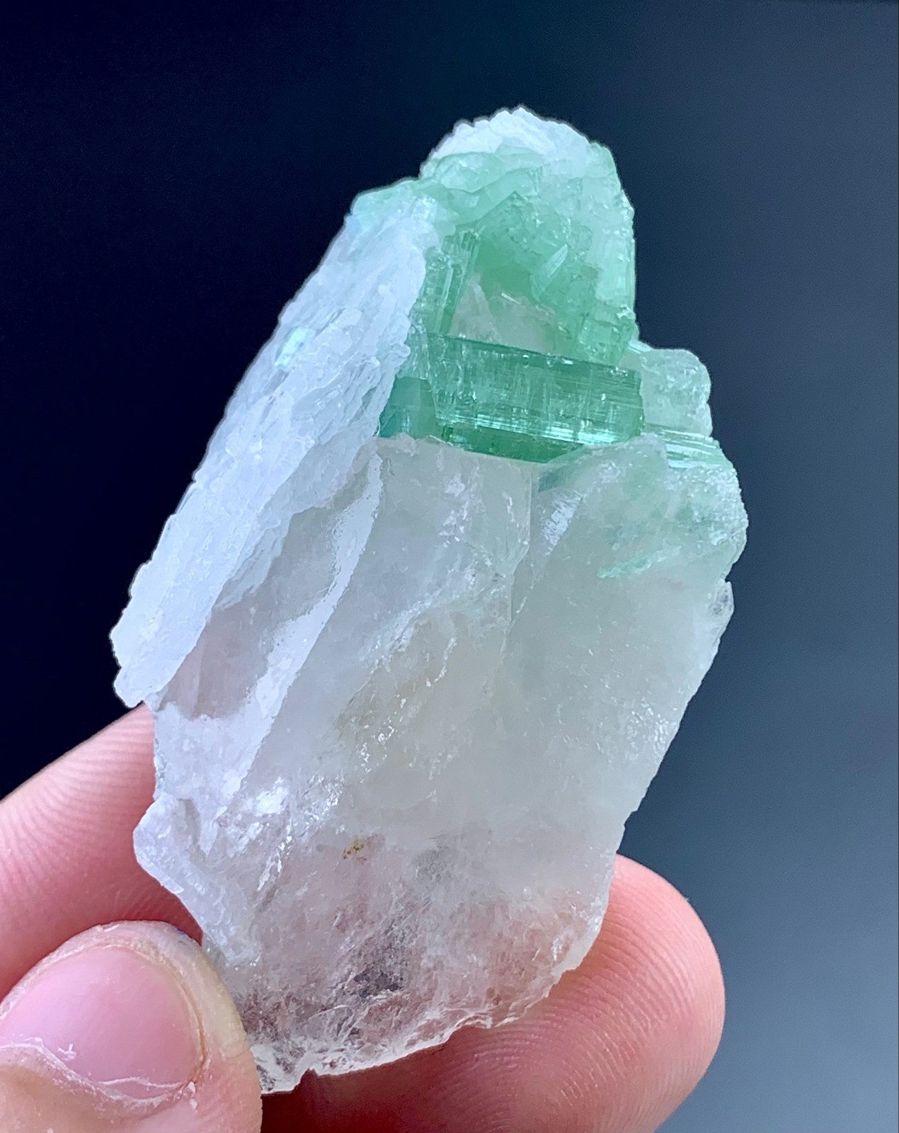 131 Carat Tourmaline Crystal On Quartz Specimen From Afghanistan 131 Carat Tourmaline Crystal On Quartz Specimen From Afghanistan