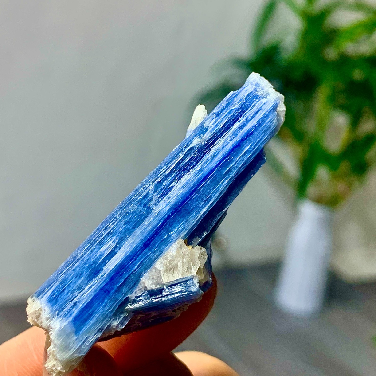 23G Rare Natural beautiful Blue KYANITE with Quartz Crystal Specimen Rough