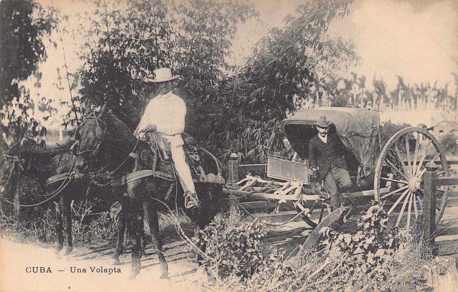 CUBAN 1900\'s RARE Native Cuban Volanta Carriage near Havana, CUBA 